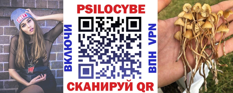 Псилоцибиновые грибы Magic Shrooms  Котельниково 